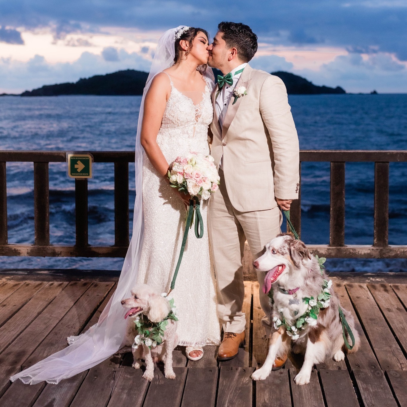 Novios con perritos en boda dog friendly